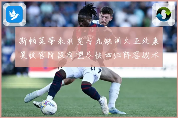 斯帕莱蒂米利克与九缺训久正处康复收官阶段有望尽快回归阵容战术观察